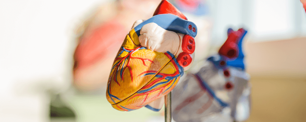 Cardiología